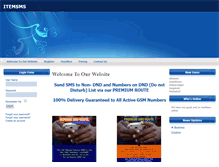 Tablet Screenshot of itemsms.com